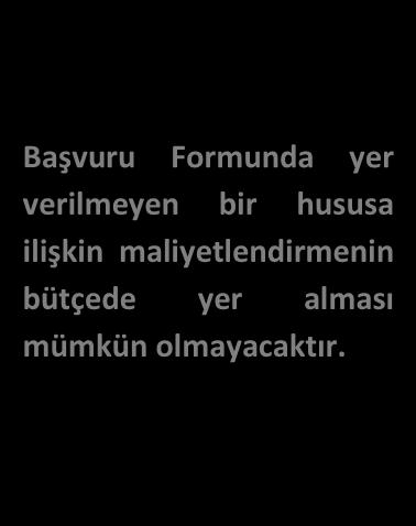 Yararlanıcının ya da ortağının hesaplarında ya da vergi belgelerinde kayıtlı, tanımlanabilir ve doğrulanabilir olması; orijinal destekleyici belgelerle desteklenmesi gerekir.