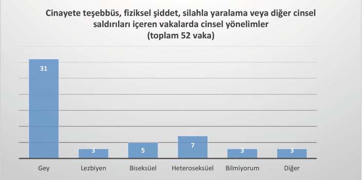 Diğer: Queer, Akışkan, Herhangi bir kalıba sokmak istemiyorum. Mağdurların çoğu ailelerinden ve kolluk kuvvetlerinden ciddi biçimde korkuyorlardı.