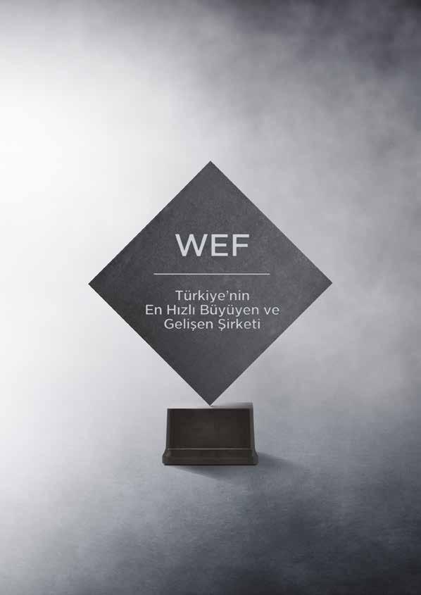 Dünya Ekonomik Forumu seçti: Seranit Grup dünya liginde. Dünya Ekonomik Forumu (WEF), Seranit Grup u, Türkiye nin En Hızlı Büyüyen ve Gelişen Şirketi olarak seçti.