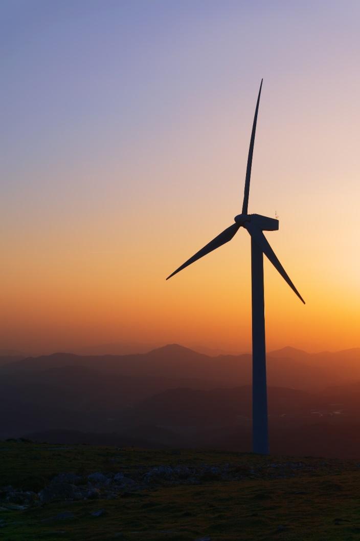Mersinli Rüzgar Enerjisi Santrali Projesi Çevresel ve Sosyal
