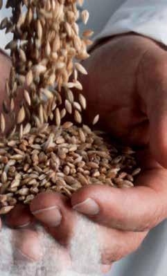 Tahıl ve Un Analiz Cihazları Rutubet
