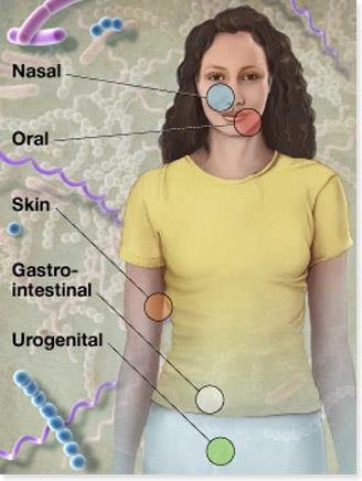 Human Microbiome Project İnsan Mikrobiyom Projesi Mikrobiyom terimi, sağlık ve hastalığın tam olarak