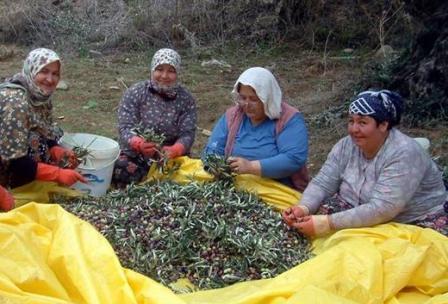 Gece çalıştırma yasağı MADDE 73. - Sanayie ait işlerde onsekiz yaşını doldurmamış çocuk ve genç işçilerin gece çalıştırılması yasaktır.