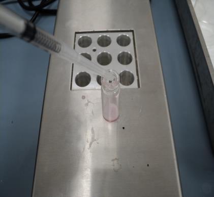 içine 1 cm kadar daldırılıp süt çekilir ve enjektörü