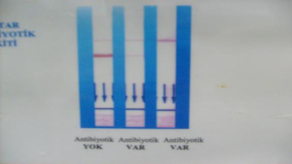 Bu sırada şişe inkübatörden çıkartılmaz. Sesi kapatmak için alarm susturma düğmesine basınız.