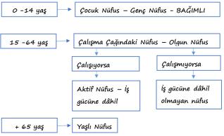 Ahmet Burak Kargı Beşeri yapı olur. Gelişmemiş ülkelerde ise nüfusun büyük bölümü tarımda çalıştığı için kırsal nüfus oranı daha fazladır.