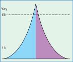 piramidin tavan kısmı geniş olur. Gelişmiş ülkelerin nüfus piramitidir.