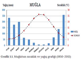 Ahmet Burak Kargı İklim Bilgisi TÜRKİYE DE BİTKİ ÖRTÜSÜ Bitki dağılışını etkileyen faktörler 1.