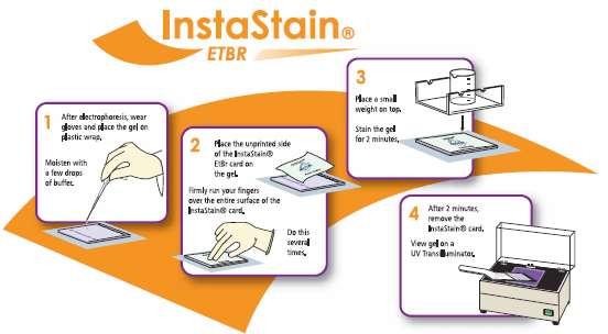 INSTASTAİN ETHİDİUM BROMİDE Kolay EtBr