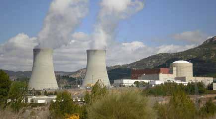 BWR ler dünyadaki diğer tasarımlar arasında ikinci en yaygın kullanılan reaktör tipleridir. Bir BWR de yaklaşık 140 ton uranyum ile 750 yakıt demeti bulunur.