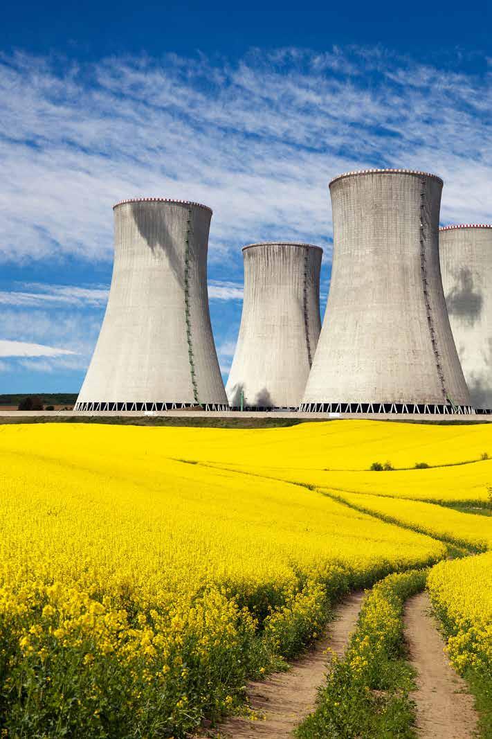 Nükleer enerji sektörüne girmeyi düşünen şirketler yalnızca yerel pazara odaklanmamalıdır. Bu şirketler gerekli kabiliyetleri geliştirmelerinin ardından küresel pazarda rekabet edebileceklerdir.
