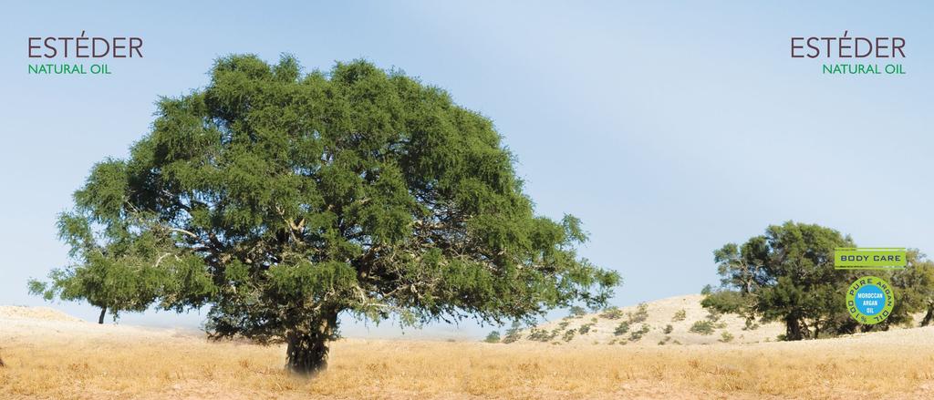ARGAN MOROCCAN OIL Fas Argan Yağı, hücre yenileyici, besleyici ve onarıcı saç ve cilt için yoğun nemlendiricidir. Argan yağı argan ağacı meyvelerinden preslenerek soğuk sıkma yöntemiyle elde edilir.