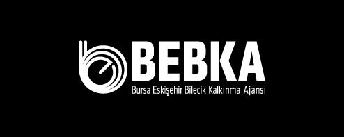 1. GİRİŞ Bursa Eskişehir Bilecik Kalkınma Ajansı (BEBKA), 08.02.
