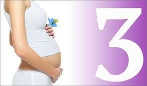 Bebekteki organ gelişimi bu dönemde hızlı bir şekilde devam etmekte olup, dudak-damak gibi ince ayrıntılar da belirmeye başlar.