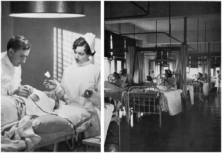 1940-1950 Antibiyotiklerin kullanıma girmesi İnfeksiyonlarda azalma S.