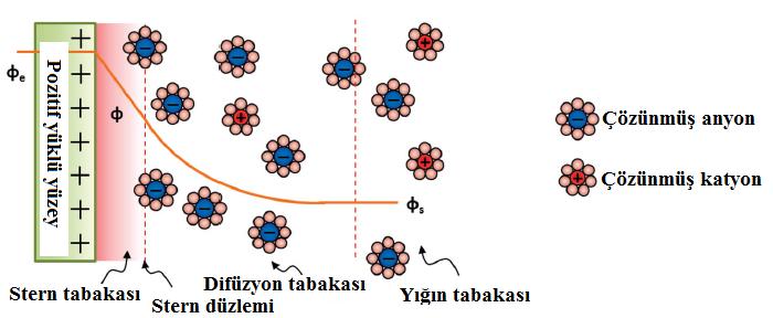 Bu teoriye göre iyonlar sonlu bir boyuta sahiptir ve yüzeye birkaç nanometreden fazla yaklaşamazlar (Balakrishnan and Subramanian 2014).