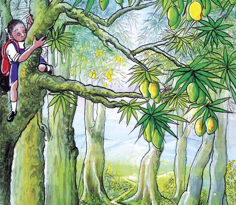 Bir gün öğleden sonra okuldan eve dönerken, yol kenarında bir mango ağacında olgunlaşmaya