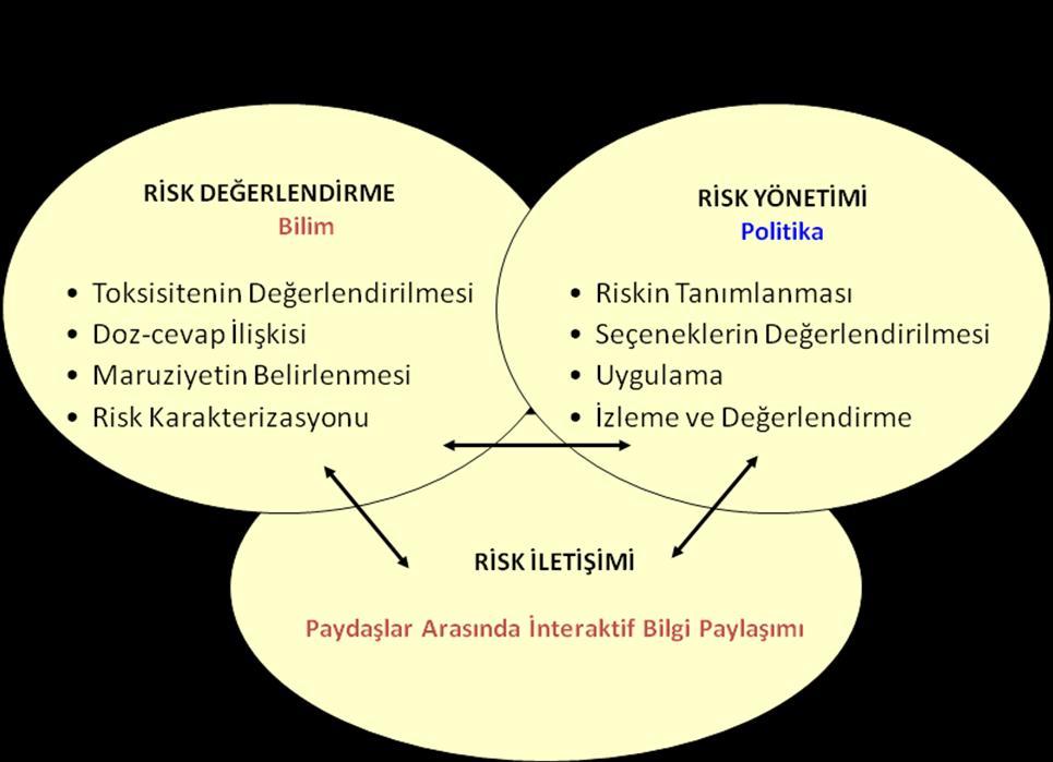 Yaşanacak bir sonuçtur. Koşullar olgunlaşmadıkça açığa çıkmaz. Gerçekleşirse zarar yaşanmış demektir. Risk daima tehlikenin bir elemanıdır.