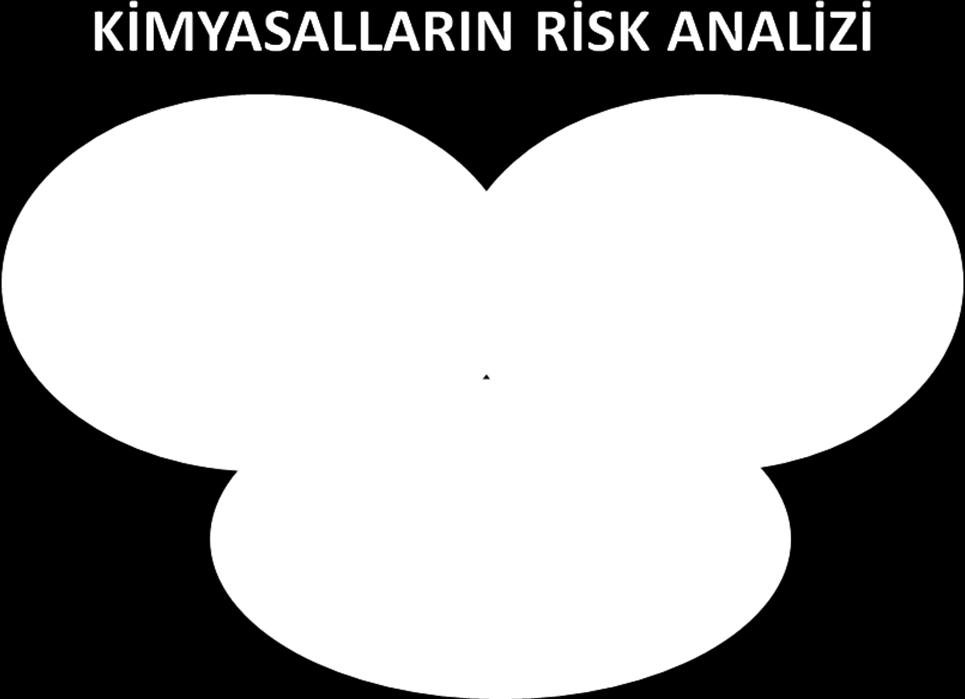 RİSK ANALİZİ Risk analizi, riski kabul edilebilir düzeye indirebilmek amacıyla yapılan her türlü eylem ve tehlikeyi değerlendirme yöntemidir.