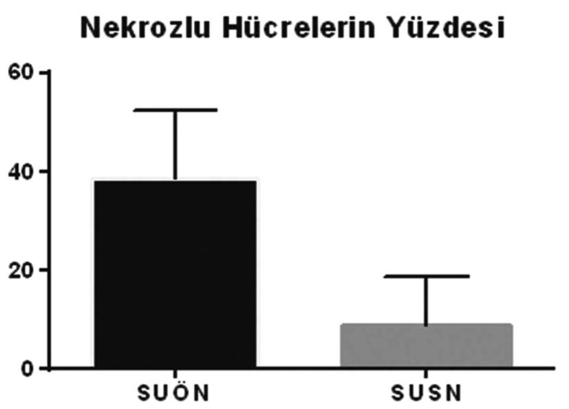 ŞEKİL 3: Swim-up öncesi nekrozlu hücrelerin (SUÖN) ve swim-up sonrası nekrozlu hücrelerin (SUSN) yüzdesi.