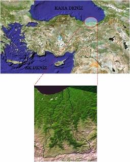 hidroelektirk potansiyelin hesaplanması gibi önemli ve stratejik konularda mühendislere büyük ölçüde fayda sağlamıştır (KUMAR v.d. 1999, DUDHANI v.d. 006).