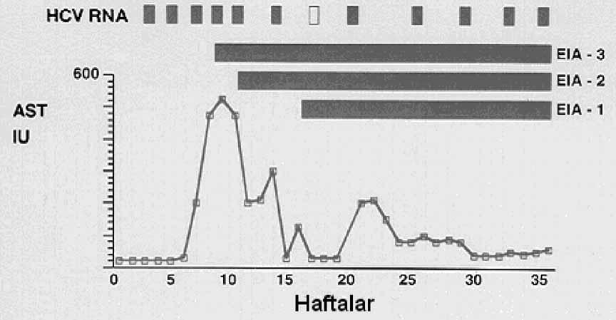 fiekil 2: Akut HCV nfeksiyonunda HCV-RNA n n Pozitif Oldu u Dönem ve De iflik Anti-HCV Kitleri le Pozitifli in Bafllamas.