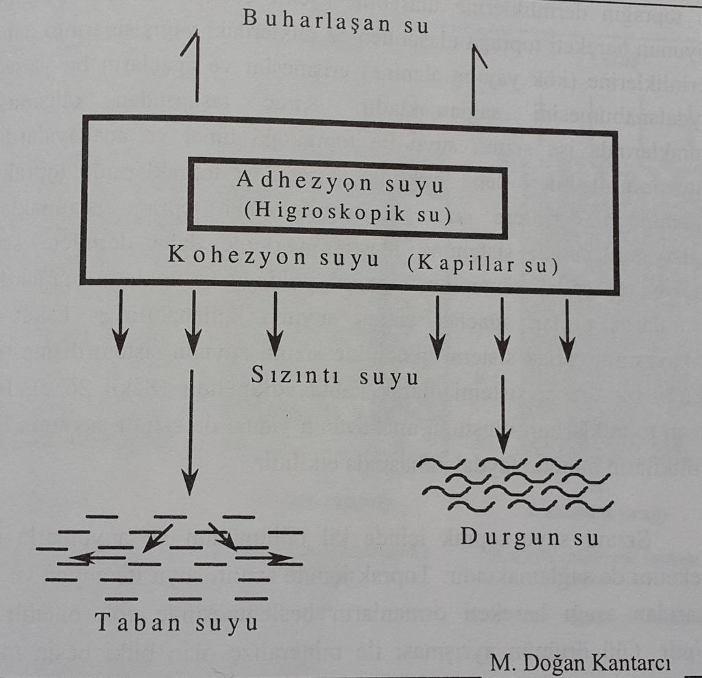 TOPRAK