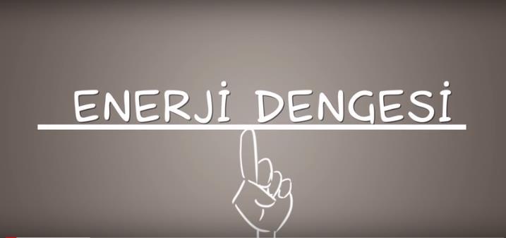 ENERJİ DENGESİ Bu işlevler için ihtiyaç duyulan enerji bireylerin;