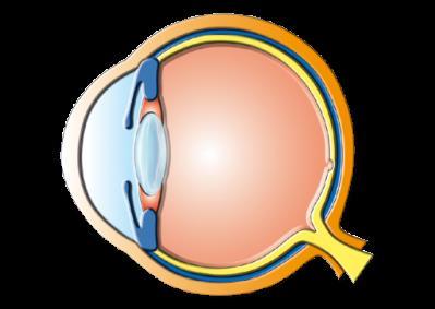 Kaynak EN175 Birleşik ve kaynak prosesli göz ve yüz koruma ekipmanları EN379 Değişebilir