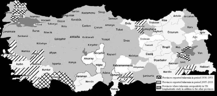 Distribution of tularemia in the cities of