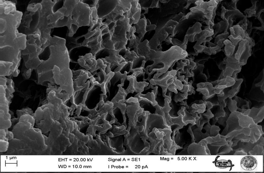 Şekil 4.3. 4 g gül yağı kullanılarak sentezlenen mikrokapsülün SEM görüntüsü Şekil 4.4. Gül yağı kullanılarak üretilen mikrokapsülün optik mikroskop görüntüsü 4.