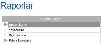 Birim Bilgisi Adet Bilgisi Sipariş girilen palet sayısına göre kamyon ya da tır seçimi yapılır. Serbest metin alanıdır. Sipariş ile ilgili açıklama, plaka vb. şeyler yazılabilir.