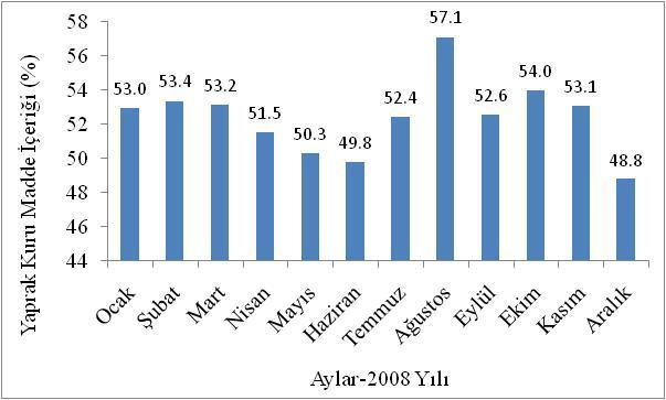 25 4.2.1. Yaprakların Kuru Madde Miktarı Örneklerin kuru madde değerleri % 48.77 ile % 57.11 arasında değişmiştir. En yüksek kuru madde miktarı Ağustos ayında (% 57.