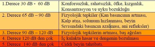 Gürültünün İnsan Ve Çevresine Etkileri Yaptığı olumsuz etkilere göre