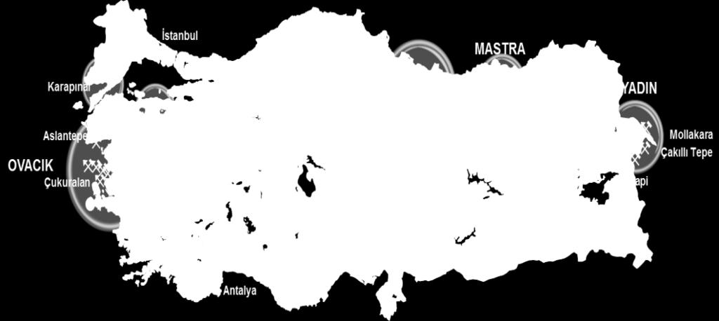 milyon ons a yükselmiştir. Rezerv ve kaynak rakamları bağımsız bir şirket olan SRK firması tarafından 2007 yılından bu yana her yılsonu ve en son 31.12.