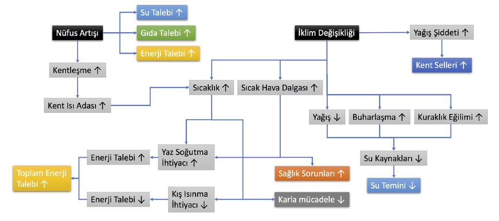 Şekil 46.