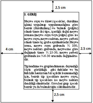 Teze ait CD/DVD, tezin arka iç kapağına yapılacak bir cep içine yerleştirilir.