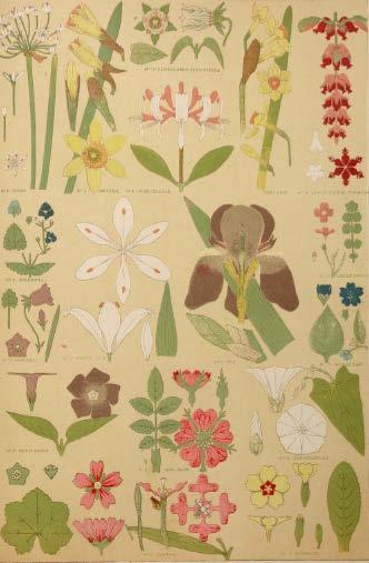 207 Resim 19 Çiçek Motifleri (Jones: 1856: 173) İncelediğimiz eserlerden (Katalog No: 13, 14 ve 15) üçü kulplarının ejder biçiminde olması ile dikkat çekmiştir (Resim 20-21-22).