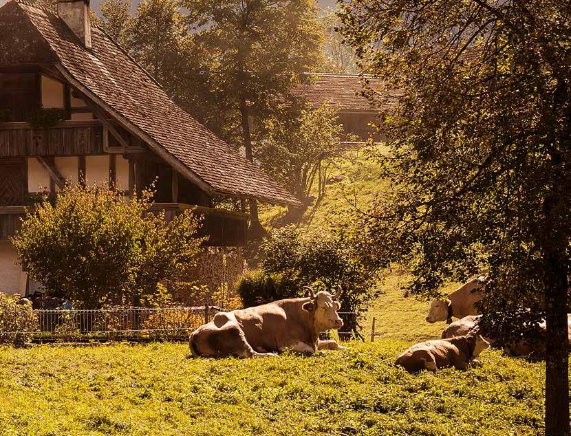 Burası Kanton Bern'e bağlı Hofstetten Brienz bölgesinde bulunuyor.