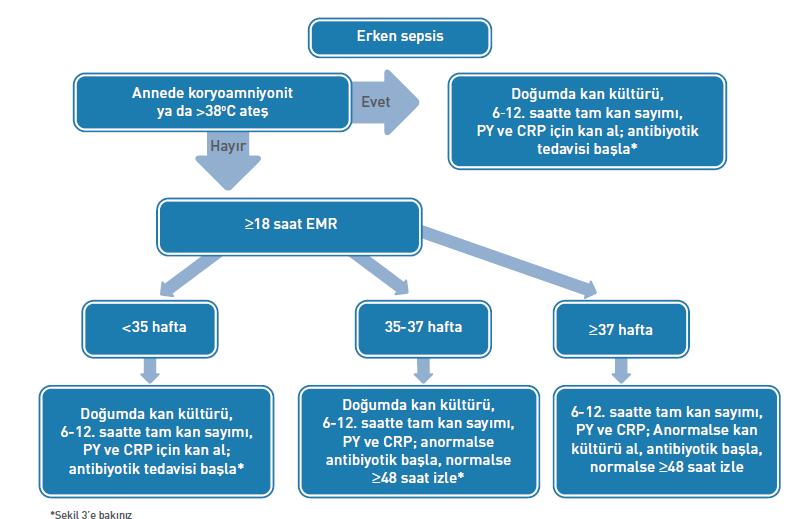 Klinik Bulgusu