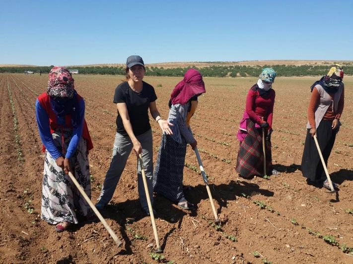 6- Veri Toplama ve Raporlama Better Cotton üretimi yapan tüm çiftçilerin pamuk üretimine ilişkin veriler Üretici Birim ler tarafından