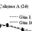 başlangıç dönemi etkilerine göre uyarlanmıştır.