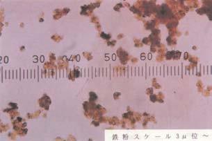 Fotoğraf (4) 1-3 4-1 Kızılımsı su numunesi 4-2 Mikroskopla görülebilen demir pulu 4-3 Boru hattı filtresi. Kızıl pas solda.