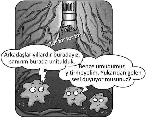 Tekst 9 Bir Milyar Yıllık Su Kanada nın Ontario eyaletinde bulunan Timmins kasabasındaki bakır ve çinko madeninde yapılan çalışmalarda yaklaşık 2,5 kilometre derinlikte su bulundu.