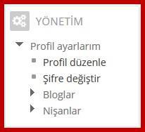 gezinme yardımı ile kullanıcının ana sayfasına (my home), DYS nin ortak sayfalarına (site pages), kullanıcının profiline (my profile) ya da kullanıcının üzerine kayıtlı olan derslere (my courses)