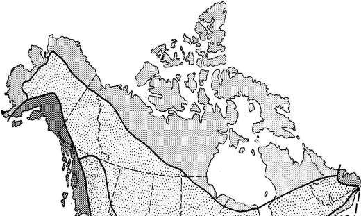 aktif) meydana gelmiş, çoğu küçük 280 adalık bir zincir halindedir. İyice kuzeyde, Kalkanın ötesinde, Kanada takımadaları yer alır.