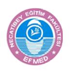 Necatibey Eğitim Fakültesi Elektronik Fen ve Matematik Eğitimi Dergisi (EFMED) Cilt 6, Sayı 2, Aralık 2012, sayfa 49-76.