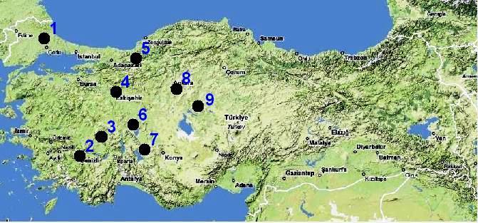 Çizelge 4.1 Arvicola terrestris in Anadolu nun batısı kayıt yerleri ve koordinatları Tür Lokalite Koordinatlar Arvicola terrestris persicus Kırşehir Kılıçözü Deresi 39.130926, 34.