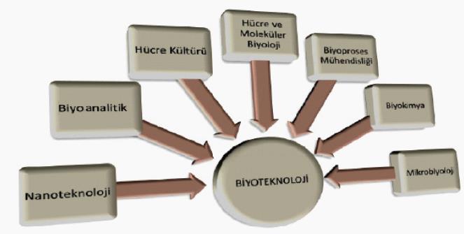 Biyoteknoloji Bölümü Nedir?