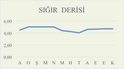 destek hizmetlerini yürütmek üzere güvenlik